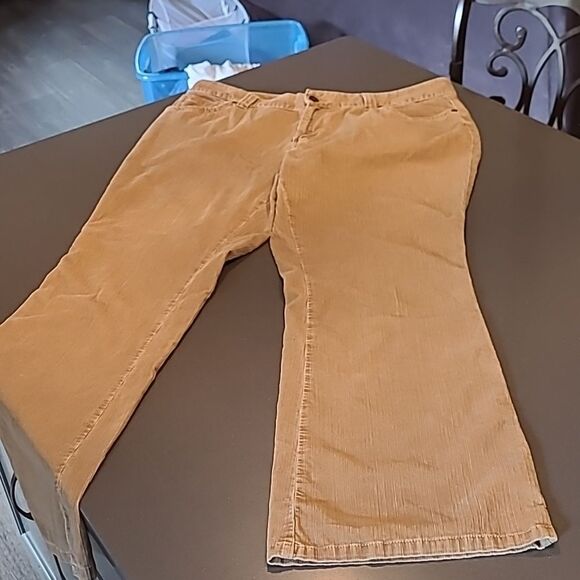 Corduroy Pants by a.n.a. - Picture 2 of 10